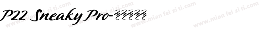 P22 Sneaky Pro字体转换